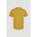 Tricou O'Neill Mountain Horizon T-Shirt Galben | winteroutlet.ro